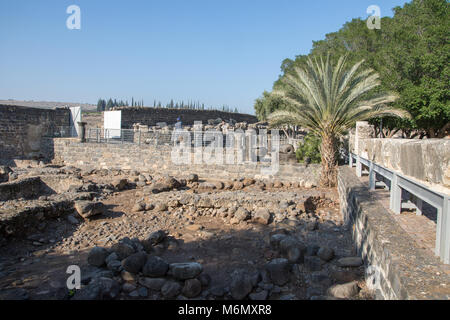 Israel, See Genezareth, die Ruinen von Kapernaum. Stockfoto