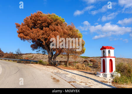 Kleine Kapelle und Kiefer an der Küste der Insel Zakynthos. Griechenland Stockfoto