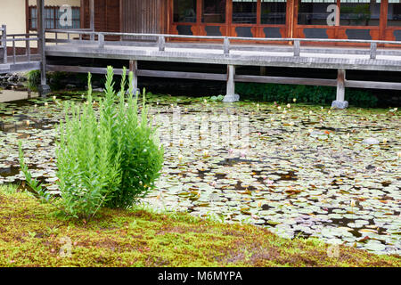 Teehaus und Seerosen an shirotori - traditioneller Japanischer Garten in Nagoya. Stockfoto