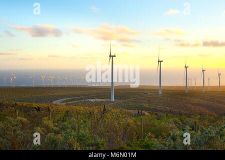 Windmühlen am Windpark, Coquimbo Region, Chile Stockfoto