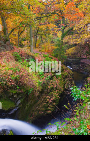 Aira tritt Ullswater Lake District, Cumbria England Stockfoto