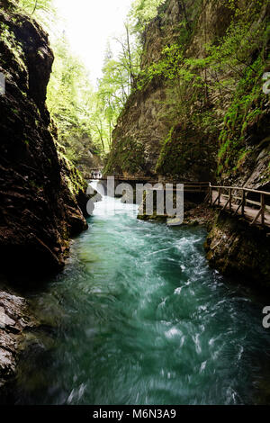 Spaziergang in der Schlucht Vintgar an Bord geht über das smaragdgrüne Wasser der Radovna Fluss unten, Slowenien Stockfoto