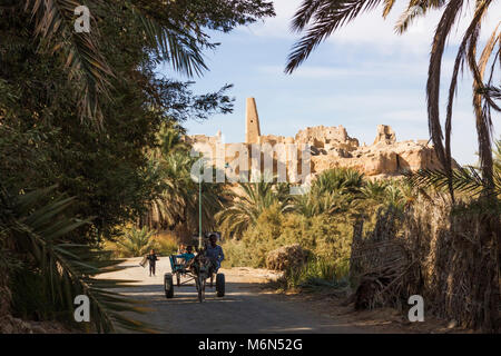 Eselskarren neben dem Tempel des Oracle des Amun im Hintergrund. Oase Siwa, Ägypten Stockfoto