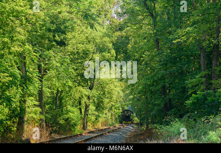 Walkersville Southrern Scenic Train ist, bereist den Titel in der Nähe von Brunnen Rock Road Stockfoto