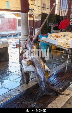 Schwertfisch Xiphias gladius, warten auf einen Trolley am' Rialto Fischmarkt transportiert werden, San Polo, Venedig, Venetien, Italien Stockfoto