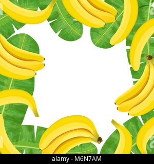 Reife Bananen und Palmen. Zentraler Platz für Text. etikettenvorlage. Vector Illustration mit Tropic Stock Vektor