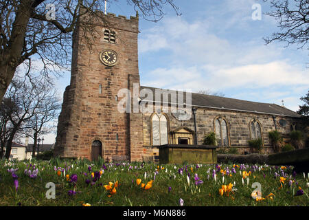 Poulton-le Fylde, Lancashire. 5 Mär, 2018. UK Wetter: der Frühling mit blühenden Krokusse Frühling Birnen Wiederherstellung nach schweren Wetter auf dem Gelände des St Chad's Kirche eine sehr geliebt Pfarrkirche im Herzen der geschäftigen Marktstadt Poulton-le-Fylde. Credit: MediaWorldImages/AlamyLiveNews Stockfoto