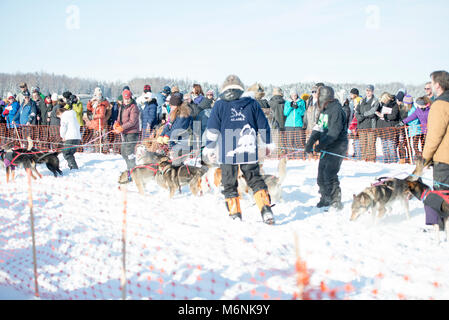 Willow, Alaska, USA. 4 Mär, 2018. Ansätze die Startlinie des Iditarod Schlittenhunderennen. Credit: Kristen Bentz/Alamy leben Nachrichten Stockfoto