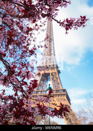 Schönen Frühling in Paris Stockfoto