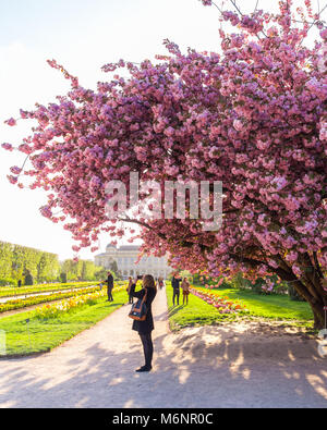 Schönen Frühling in Paris Stockfoto