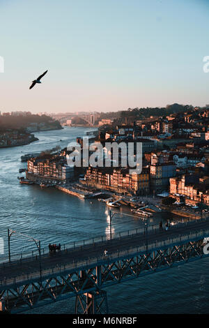 Blick über Porto mit Ponte Dom Luis I Brücke über den Fluss Douro in Porto, Portugal Stockfoto