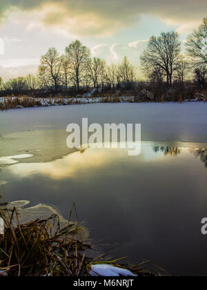 Ufer von einem eiskalten See mit einem Küsten Gras mit frischem Schnee mit seltenen Bäumen auf der anderen Bank unter dem Himmel in die Kälte gleichmäßig p wider Stockfoto