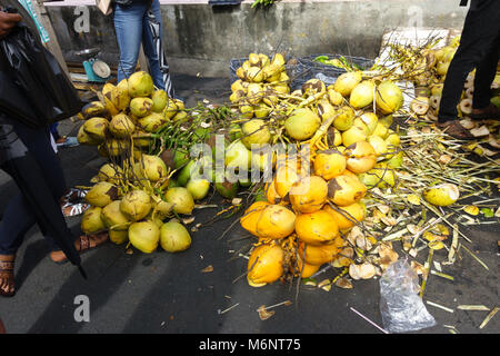 Frisches gelb, orange und grün Kokosnüsse auf Verkauf an einem Freitag Markt in St. George's auf der karibischen Insel Grenada Stockfoto
