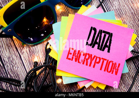 Wort, Schrift, Verschlüsselung der Daten. Business Konzept für Sicherheit in der Informationstechnik auf alten Holz Hintergrund mit Sonnenbrille geschrieben Stockfoto