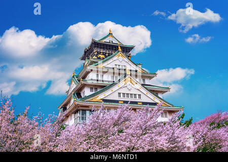 Burg von Osaka und Kirschblüte im Frühling. Sakura Jahreszeiten in Osaka, Japan. Stockfoto