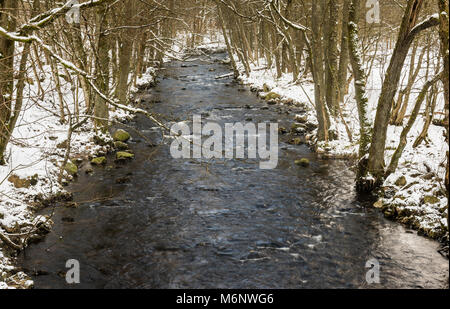 Fluss im Nationalpark Harz im Winter mit Schnee. Stockfoto