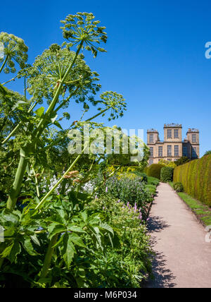 Blick auf Hardwick Hall in Derbyshire aus der Küche Garten mit seiner üppigen Bepflanzung der Kräuter, Gemüse und Zierpflanzen Stauden Stockfoto