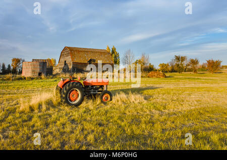 Ein Roter Traktor auf das Gras auf der grünen Wiese, in der Nähe einer alten Hütte und ein Korn Scheune mit einem hölzernen Hedge- und Heuhaufen. Bäume und blauen Himmel im Hintergrund Stockfoto