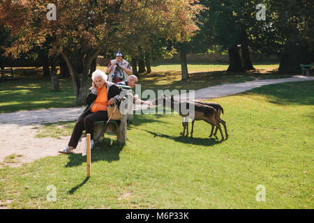 Blatna, Tschechische Republik, 27. September 2017: die älteren Menschen sind von Hand gefüttert Rotwild im Park neben dem Schloss von Blatna. Pflege von Tieren von den Menschen. Stockfoto