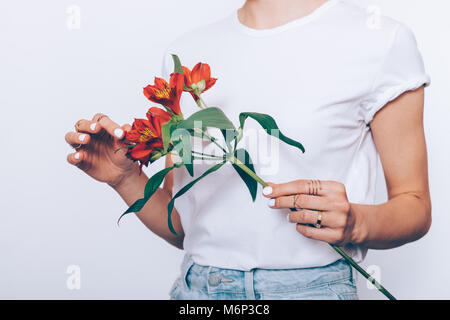 Schlanke Frau in T-Shirt und Jeans hält ein Bouquet von roten Blumen auf weißem Hintergrund Stockfoto