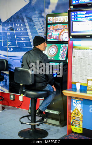 Reifer Mann mit festen Quoten Roulette Maschine in Buchmacher. London, England, UK. Maschine beschrieben als Crack von Glücksspielen und die maximale Beteiligung wird auf GBP 2. Stockfoto