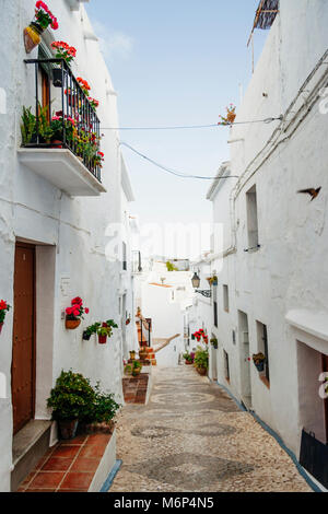 Schmale Straße mit Kopfsteinpflaster mit Geranie Blumentöpfe in Frigiliana, Provinz Malaga, Andalusien, Spanien Stockfoto