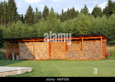 Finden von Holz in der Nähe von Forest sunnny Tag Stockfoto