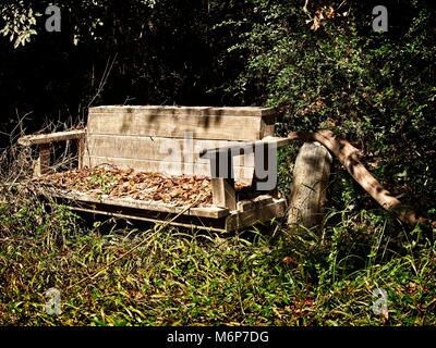 Feder TX USA - Oct 17, 2017 - Alte Holzbank mit Reifen in einem Wald im Sept. 2017 überflutet wurde, Stockfoto