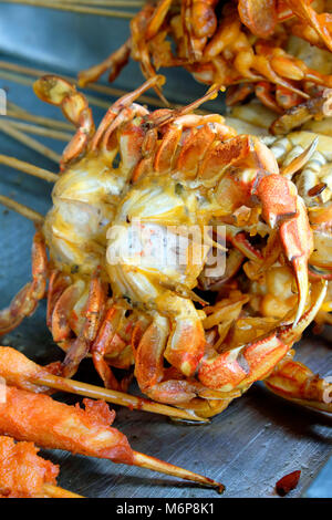 Frittierte Krabben auf einem Stick, Wangfujing Snack Street Market, Peking, China Stockfoto