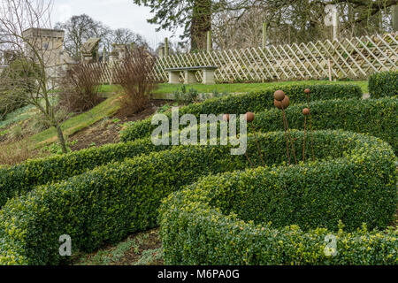 Gemeinsame Box Hedge in gebogener Form wachsen, Holz- Gitter im Hintergrund; Easton Walled Gardens, Lincolnshire. Stockfoto