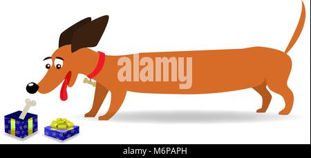 Cute cartoon lange Dackel beobachten auf Geschenkbox mit einem Knochen im Inneren auf weißem Hintergrund. Vector Illustration, Clip Art, Symbol der 2018 New y Stock Vektor