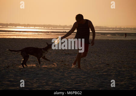 Mann spielt Frisbee mit Hund am Strand bei Sonnenuntergang Stockfoto
