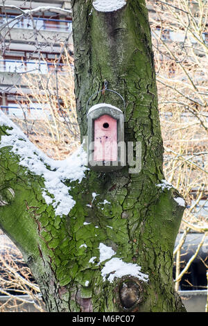 LONDON, GROSSBRITANNIEN, 28. Feb 2018: ein Vogel Schrägförderer in den weißen Schnee in der Barbican während der Sturm Emma abgedeckt Stockfoto