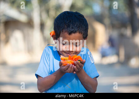 School Girl holding Butea monosperma palash (Blume) in Bogra District, Bangladesch. Stockfoto