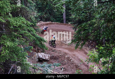 Mountainbiken in Whistler British Columbia Kanada BC Sommer Stockfoto