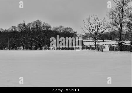 Nach dem Tier aus Ost hits County Durham die Felder und die umliegende Landschaft in einer schweren Decke mit frischem Schnee bedeckt sind. Stockfoto