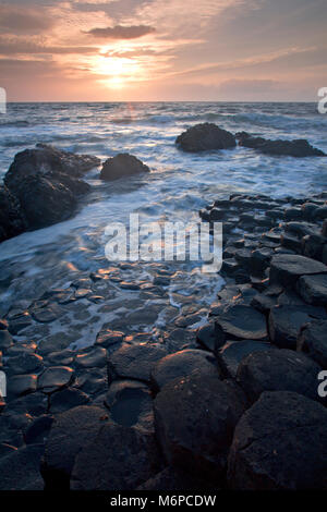 Sechseckige Basaltfelsen, Giant's Causeway, Nordirland bei Sonnenuntergang Stockfoto