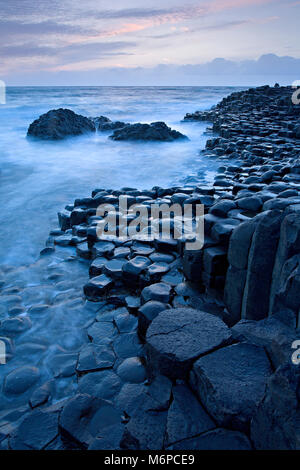 Sechseckige Basaltfelsen, Giant's Causeway, Nordirland in der Dämmerung Stockfoto