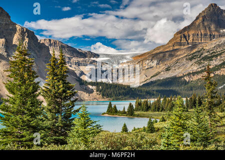 Crowfoot Mountain, Crowfoot Gletscher Waputik Bergen über Bow Lake, von der Icefields Parkway, Banff National Park, Alberta, Kanada Stockfoto