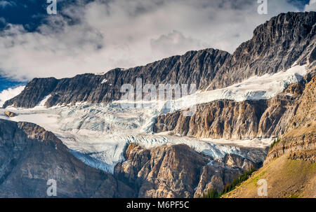 Crowfoot Gletscher, Crowfoot Mountain, in Waputik Berge, kanadische Rockies, vom Icefields Parkway, Banff National Park, Alberta, Kanada Stockfoto