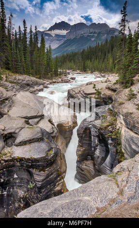 Wasserfall bei Mistaya Canyon, in der Nähe des Icefields Parkway, Banff National Park, Alberta, Kanada Stockfoto