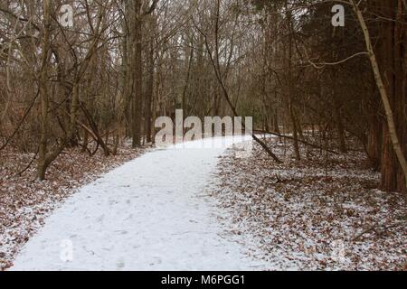 Ein Tag in den verschneiten Landschaften des Parks verbracht und Trails an einem kalten Wintertag im Februar. Stockfoto