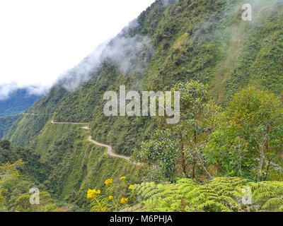 Tod Straße von Coroico nach La Paz, Bolivien. North Yungas Straße Stockfoto