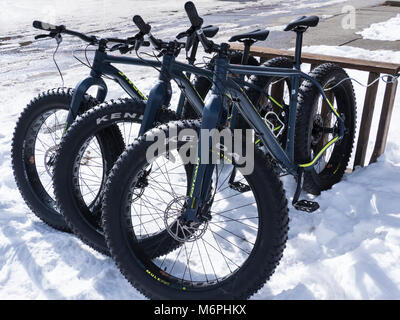 Fat Fahrräder zu mieten, Downtown Breckenridge, Colorado. Stockfoto