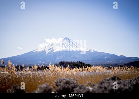 Fuji-san und Chureito Pagode im Winter, Yamanashi, Japan Stockfoto