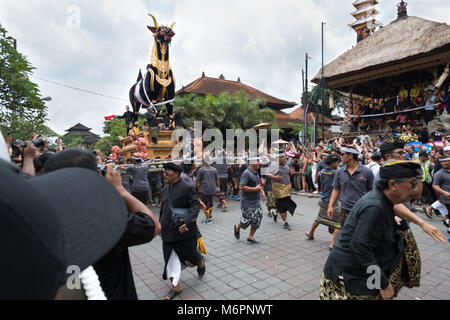 Balinesische Männer tragen die schwere schwarze Sarkophag Stier durch die Straßen von Ubud, Bali für die einäscherung Zeremonie der Königin Niang Agung Stockfoto