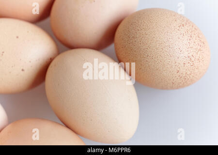 Huhn Eier zufällig auf dem weißen Hintergrund Stockfoto