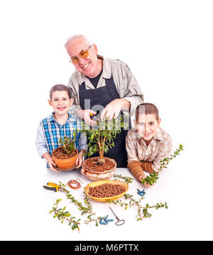 Älterer Mann mit seinem Enkel Trimmen eines Bonsai Baum Stockfoto