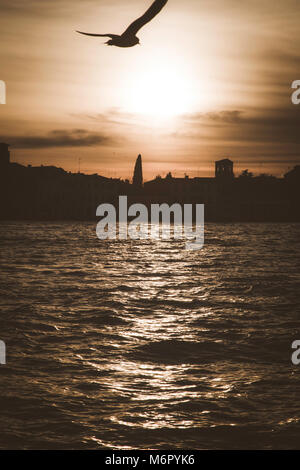 Winter Sonnenuntergang mit Silhouetten von Palästen und Kirchen in Venedig, Italien Stockfoto