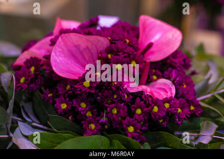 Schönen festlichen Blumenstrauß aus verschiedenen Blumen. Stockfoto